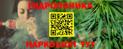 MDMA Новозыбков